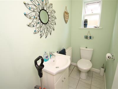 Picture 21